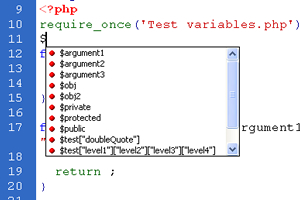 Speed up your development with PHP Code Hints